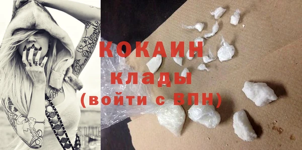 PSILOCYBIN Белокуриха
