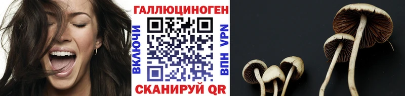 где купить наркоту  Тулун  Галлюциногенные грибы прущие грибы 
